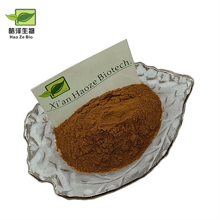 Detholiad Dant y Llew